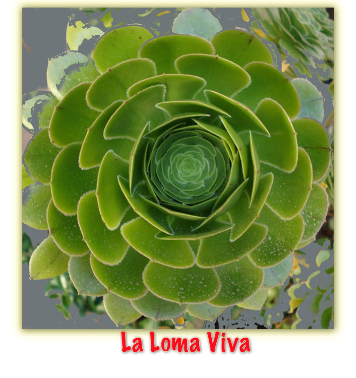 La Loma Viva - The Middle Way Permaculture Project